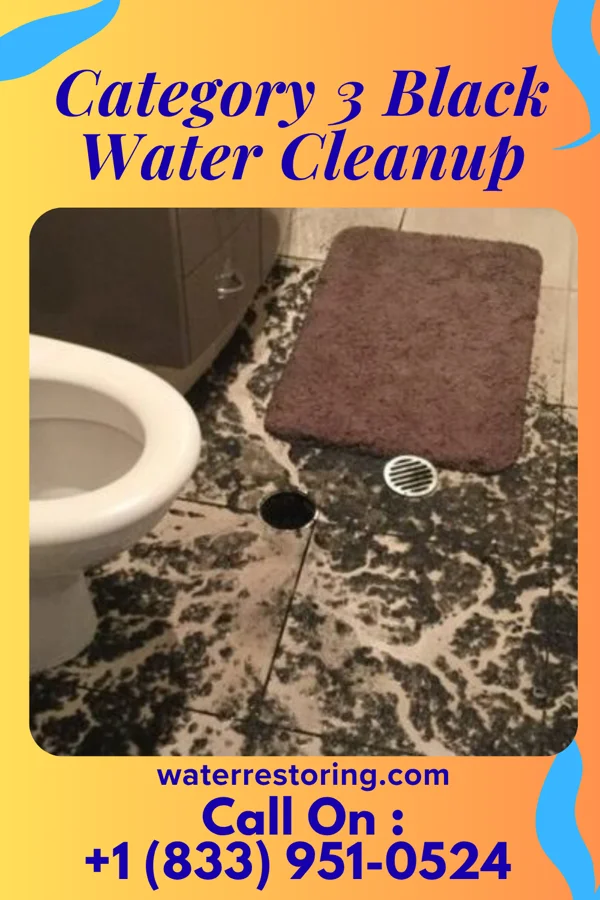Category 3 Black Water Cleanup in Empire, CO